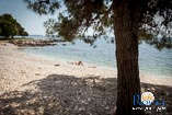 Beaches in Rovinj: Tourist settlemet Villas Rubin 3