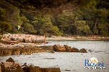 spiagge a Rovigno: Punta corrente 5