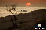 spiagge a Rovigno: Punta corrente 7