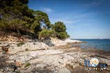 Photo gallery of Rovinj - Golden Cape 16