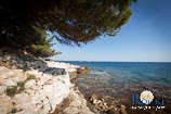 Fotogalerie - Zlatni rt - Goldenes Kap 17