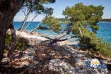 Fotogalerie - Zlatni rt - Goldenes Kap 20