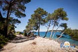 Photo gallery of Rovinj - Golden Cape 21