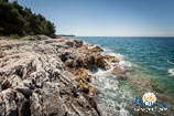 Fotogalerie - Zlatni rt - Goldenes Kap 31