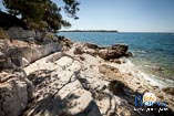 Fotogalerie - Zlatni rt - Goldenes Kap 45