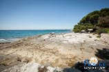 Fotogalerie - Zlatni rt - Goldenes Kap 57