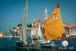 Regata rovignese di barche tradizionali con vela al terzo o latina 20