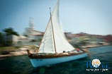 Regata rovignese di barche tradizionali con vela al terzo o latina 21