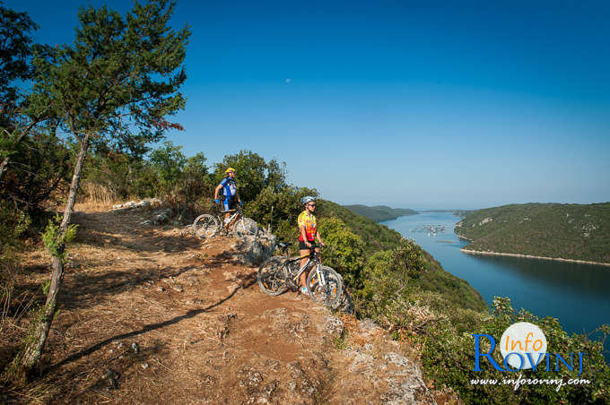 Limski zaljev