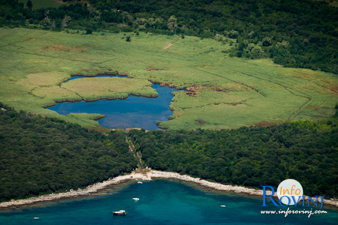 Special ornithological reserve Palud - Palù