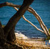 Fotogalerie - Zlatni rt - Goldenes Kap 2