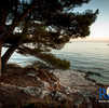 Photo gallery of Rovinj - Golden Cape 18