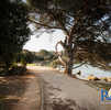 Photo gallery of Rovinj - Golden Cape 21