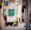 Old city center in Rovinj 11